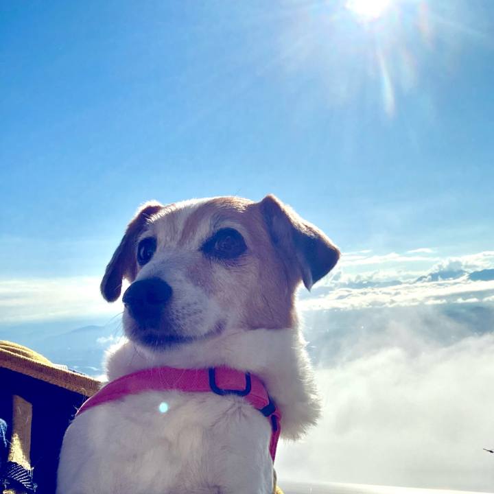 7dffa973 031f 41c8 8229 275e7e63fce0 1729607508345