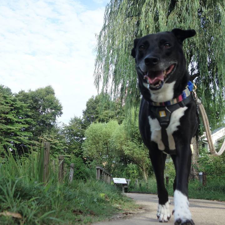 7dffe0cb 1ac6 46a6 afe5 3bb09cf34076 1660955329433