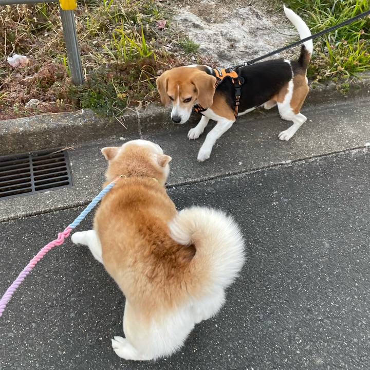 7dfff0d1 42bc 464c b602 387f6c12f0f8 1643931747127