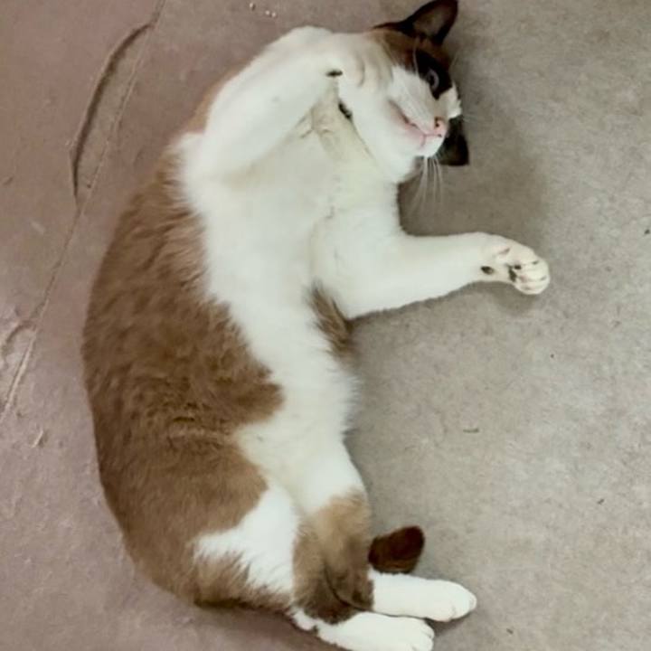 7e0020fc d2f5 4e71 b16b d4f8e2c0a7bd 1749433654861