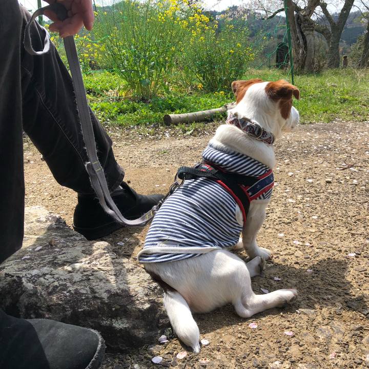 7e007f6e 45b3 4e7a 985a 0b2e896a4ed8 1712822101829