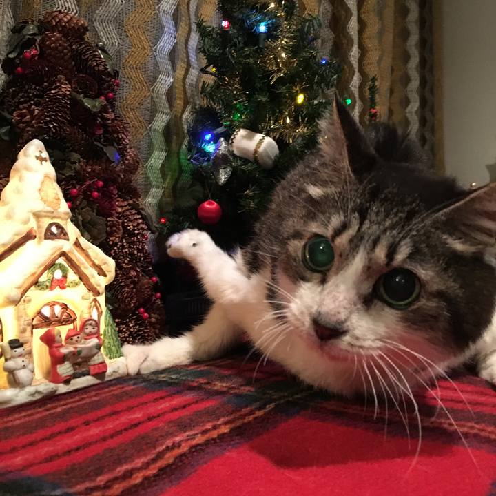 7e009061 899a 4f61 a20f db04ae1aef7c 1640342782034