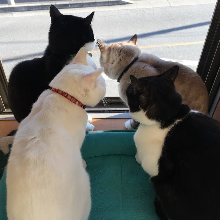 7e00958d a8a5 4411 b92e 6bec31bd9eb7 1514334633456