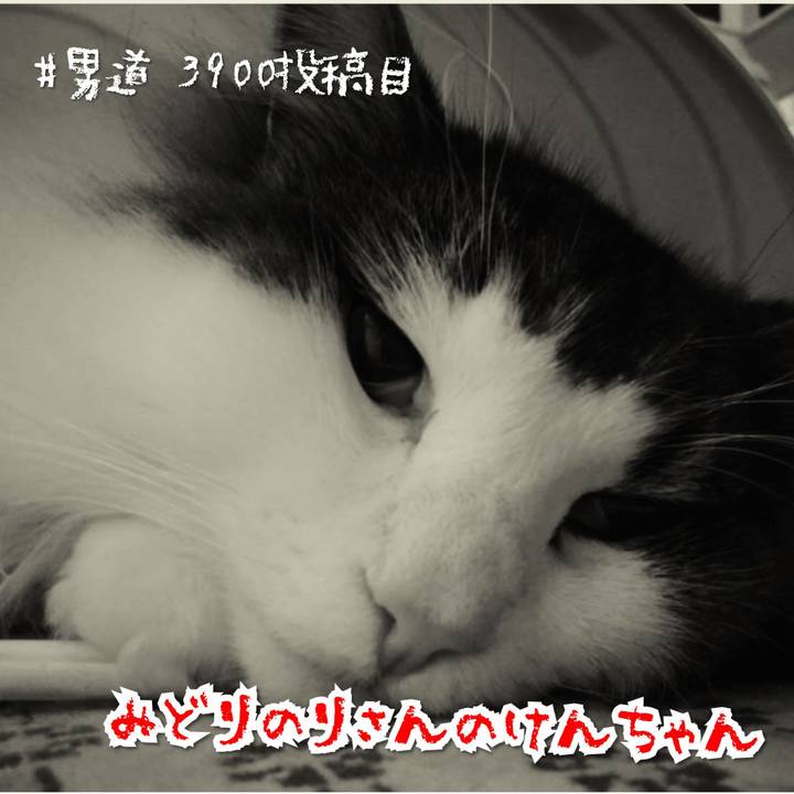 7e00ca35 104f 437e bb8d ed2794d55386 1573548652534