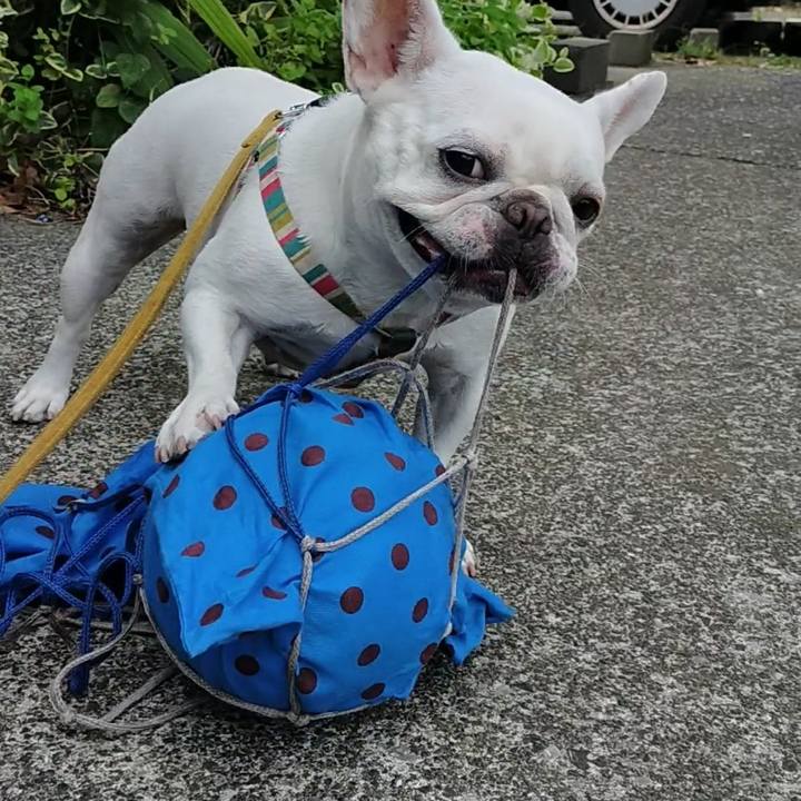 7e00cc0f ef1e 4a1c bd01 01236a249e89 1662180327543