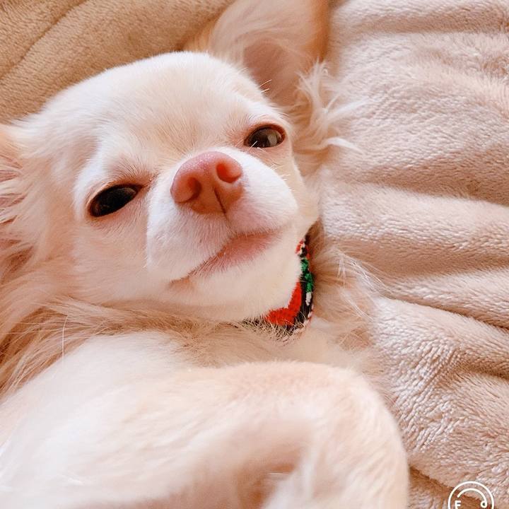 7e010788 f531 4dd9 8217 ac8c2752abfd 1623846679698