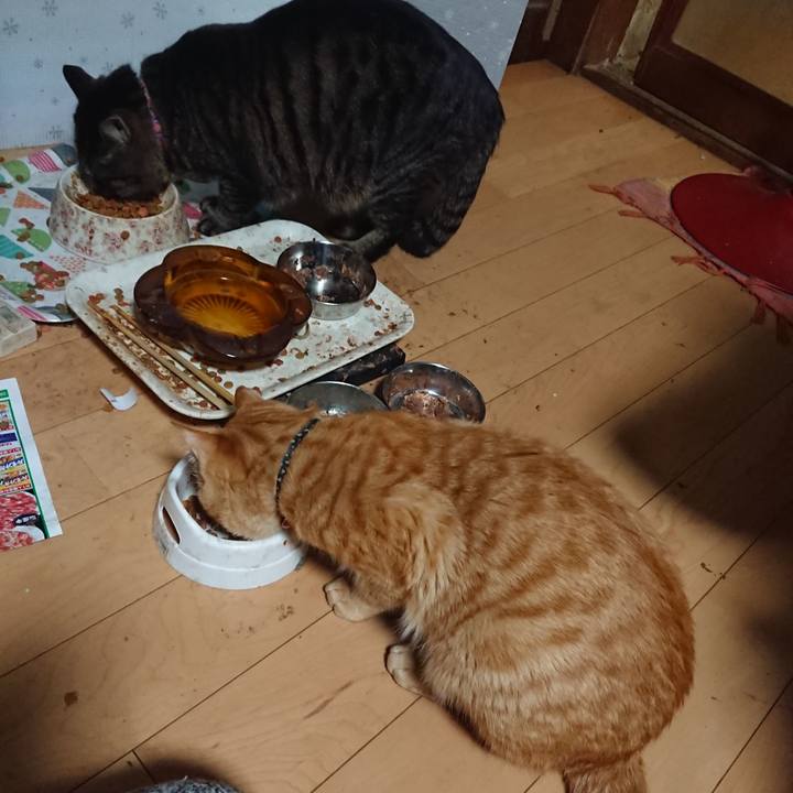 7e01084a 271c 4006 963e 79d75aa41892 1648374942753