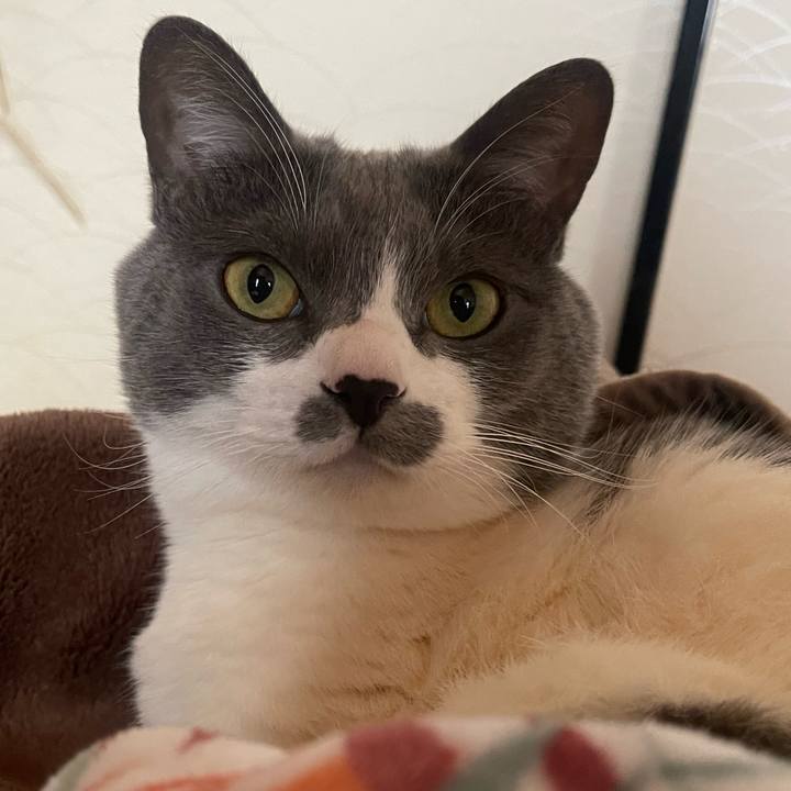 7e0124bf 5767 48a4 a943 6feaede02b5a 1738971859359