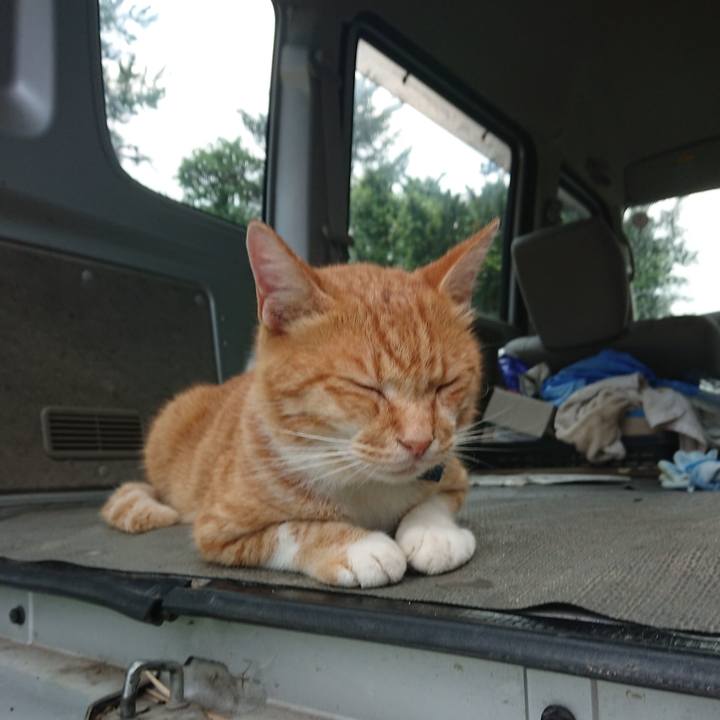 7e016289 1dc1 4fc2 ac6d 585f47173b0d 1597440757571