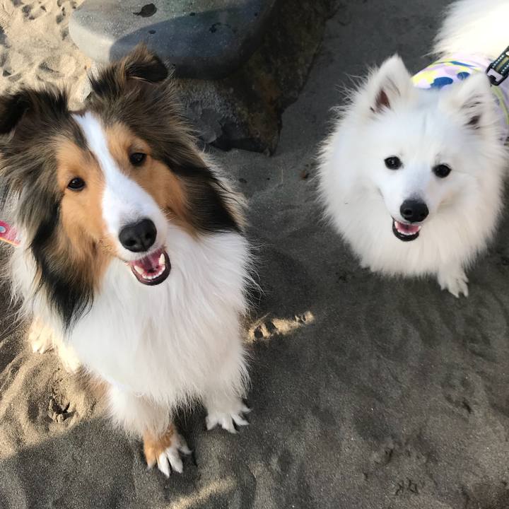 7e01a781 b967 4862 b473 ee4b6162a813 1524489874680