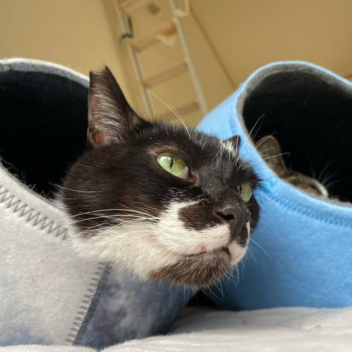 7e01c0db 38a8 4f7d 97fc 4738d293be3c 1686953328304