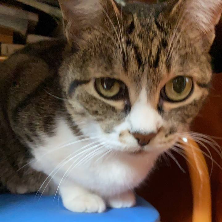 7e01e045 78a6 4cdc 9a45 f906c6ef2c52 1588584051561