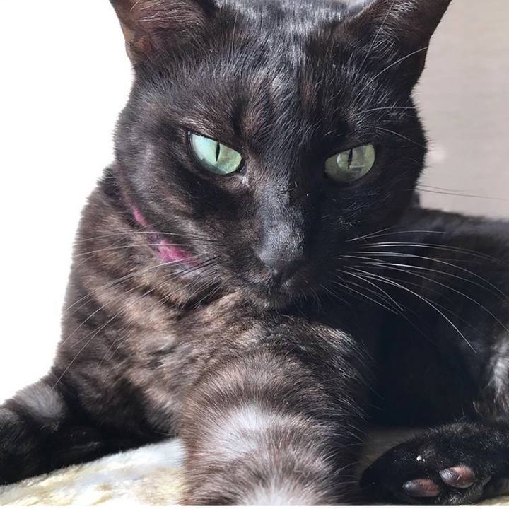 7e0204dd bbfa 428b 9217 679070ac87c0 1605563908380