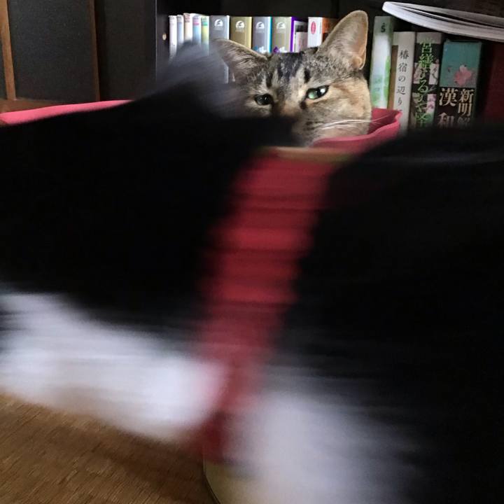 7e02374f bb51 429a 8333 451e489b571c 1628395950940