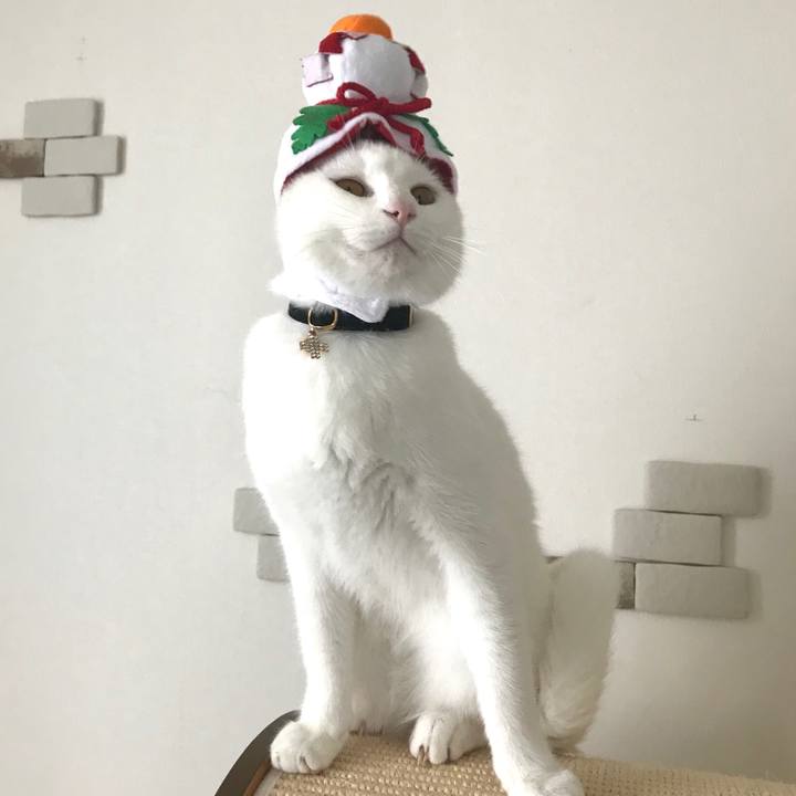 7e027fad 68b7 4c33 be80 724cdd5d3195 1577870884939