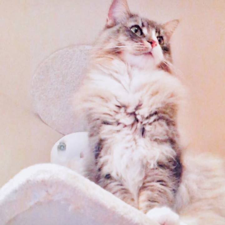 7e028dd8 38b2 417e be1c 97f140bc5932 1555609822237