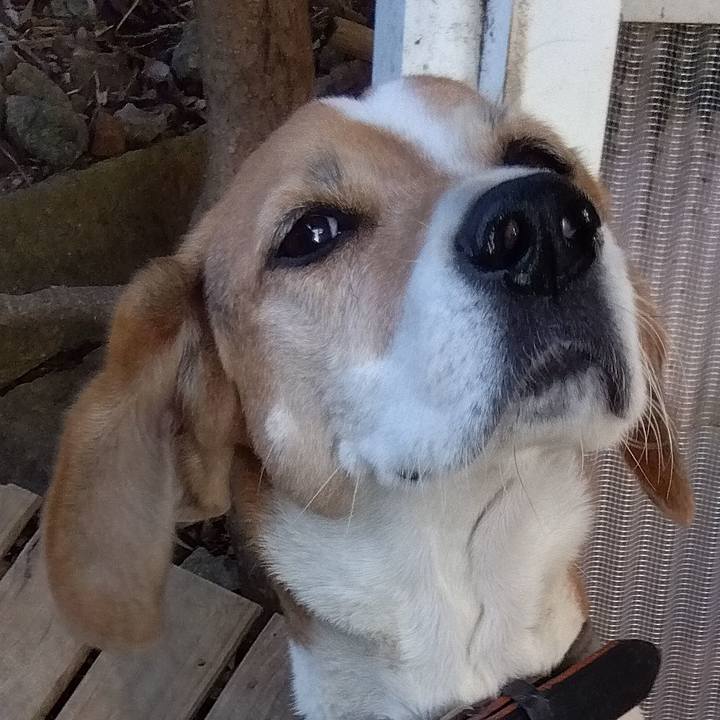 7e02a0b0 bf6f 40ac a2d4 5b28eb3fcc99 1699181539781