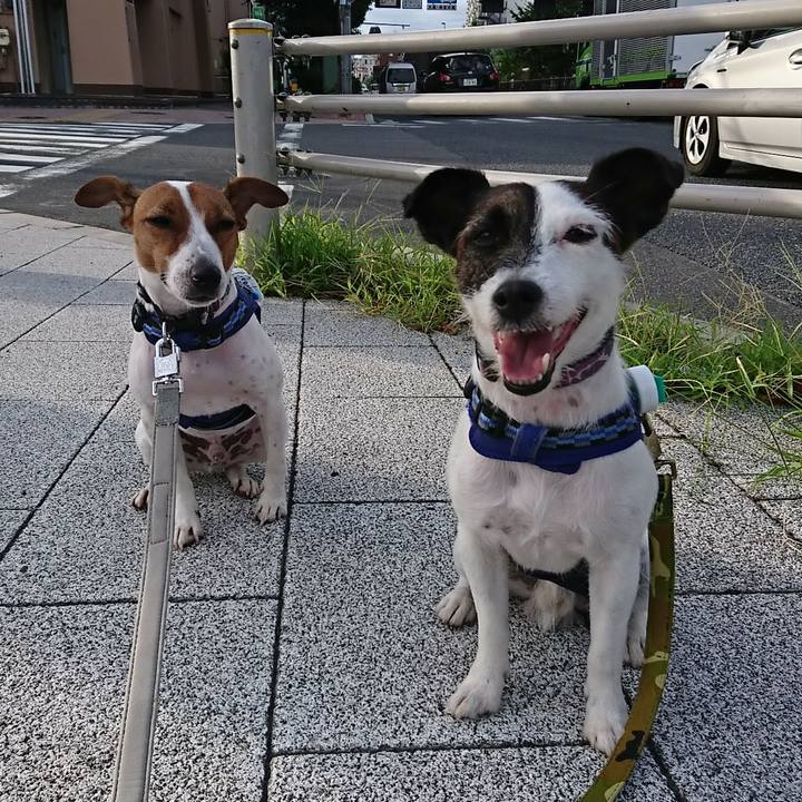 7e02c594 ba2c 4867 825e 192c80bfe4de 1534455198486