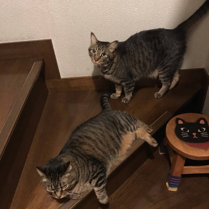 7e02c7fb 8b9f 49f2 b34b ae4087825eed 1589567050089