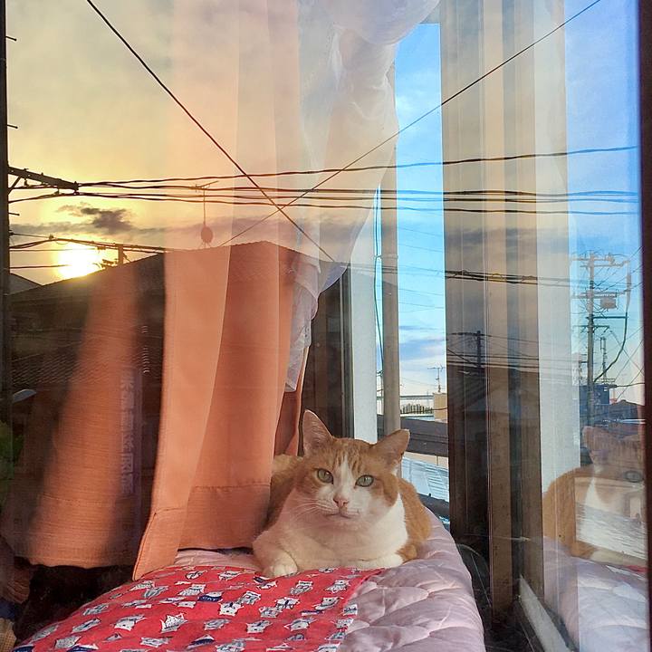 7e02f3df 41bc 4c87 94eb 37cb48a9af63 1584339054670