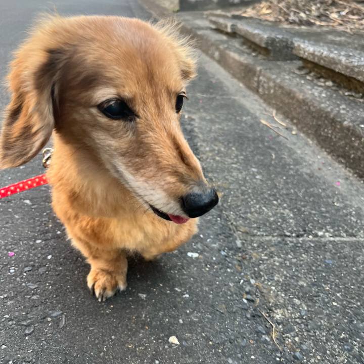 7e0304ed a9fe 48d3 ab73 2e32b24c3932 1647354198081