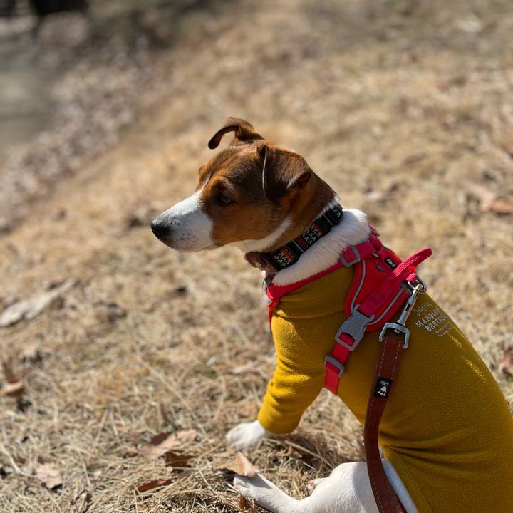 7e030898 5d55 4e92 bffe 1bbf3b25c970 1739696548452