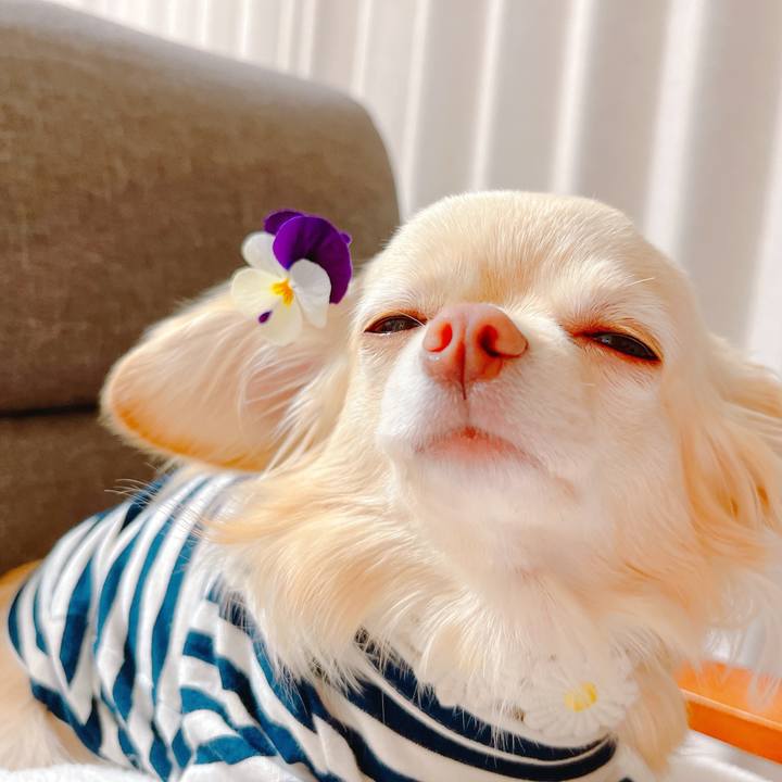 7e030f19 999f 4e13 8ed8 7fc0d68c473b 1648548612279