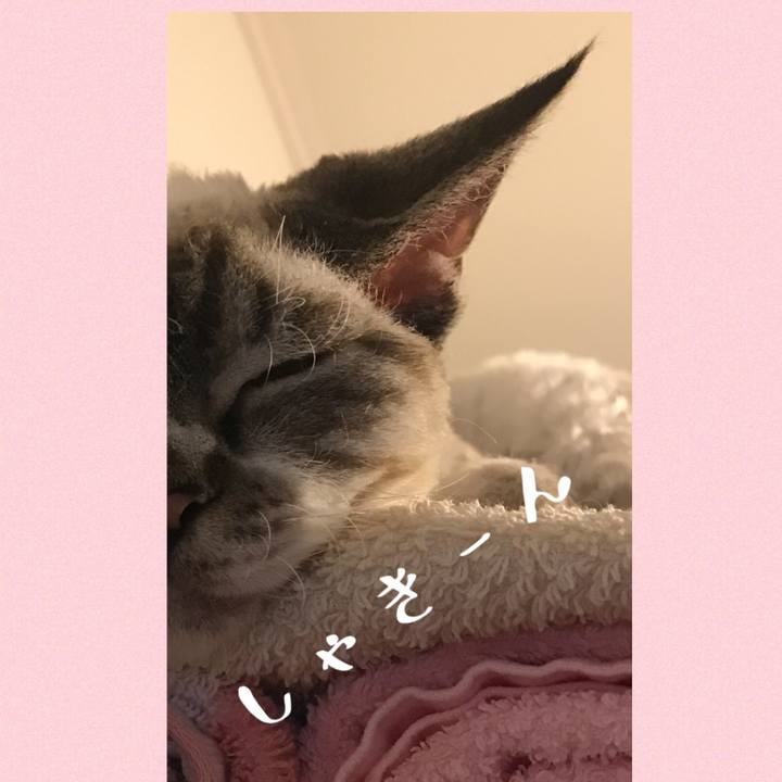 7e03189e eec9 4e6b 8e10 70ae17d8bde2 1598954824642