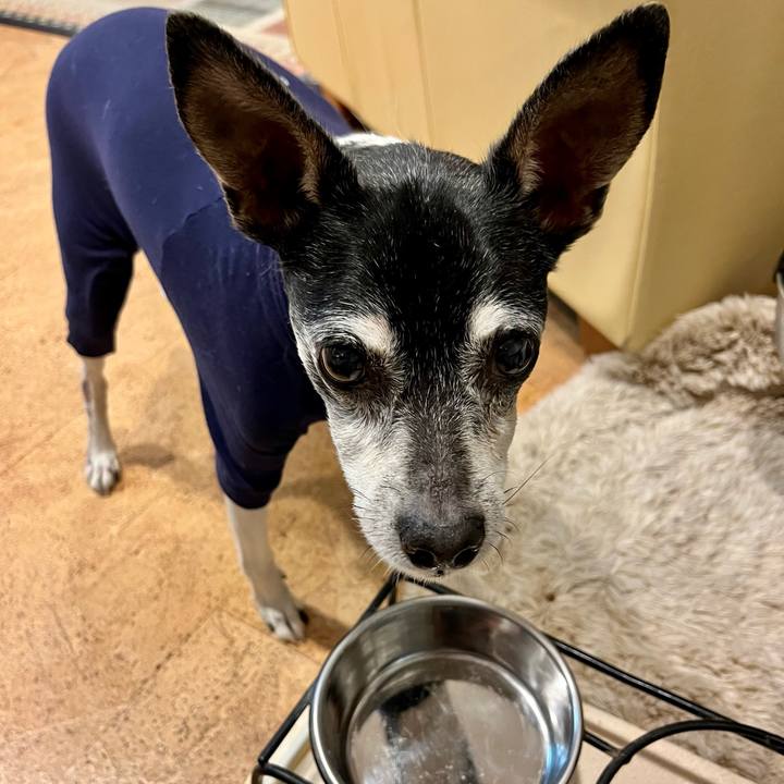 7e03225c 98d8 4337 8f02 526381a8327a 1649767248412