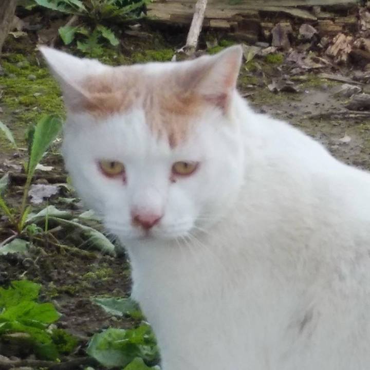 7e032e93 6615 498f 829c 8af08b28a2a1 1602810971716