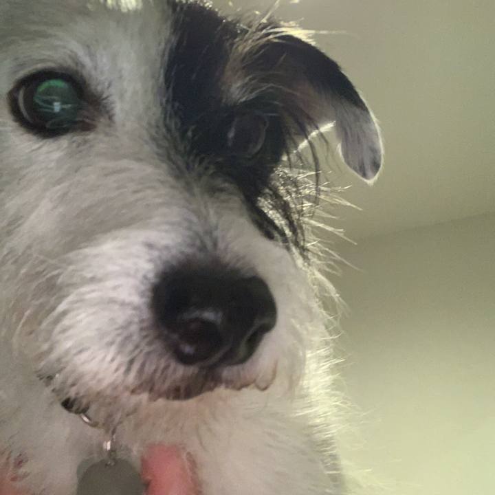 7e03755a add5 4606 886c 5dd868008219 1721049303670