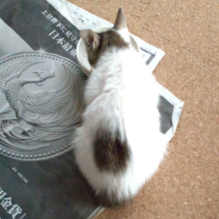 7e038255 3fe6 40f0 9745 81f75f01737c 1632608311535