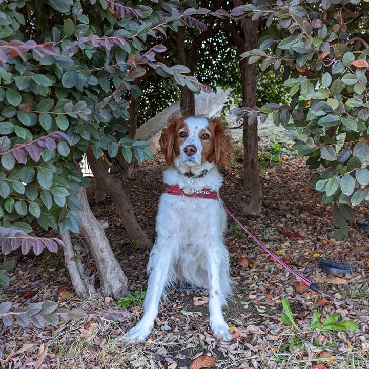 7e039543 5543 45a4 9778 0338a6fb884c 1638359648451