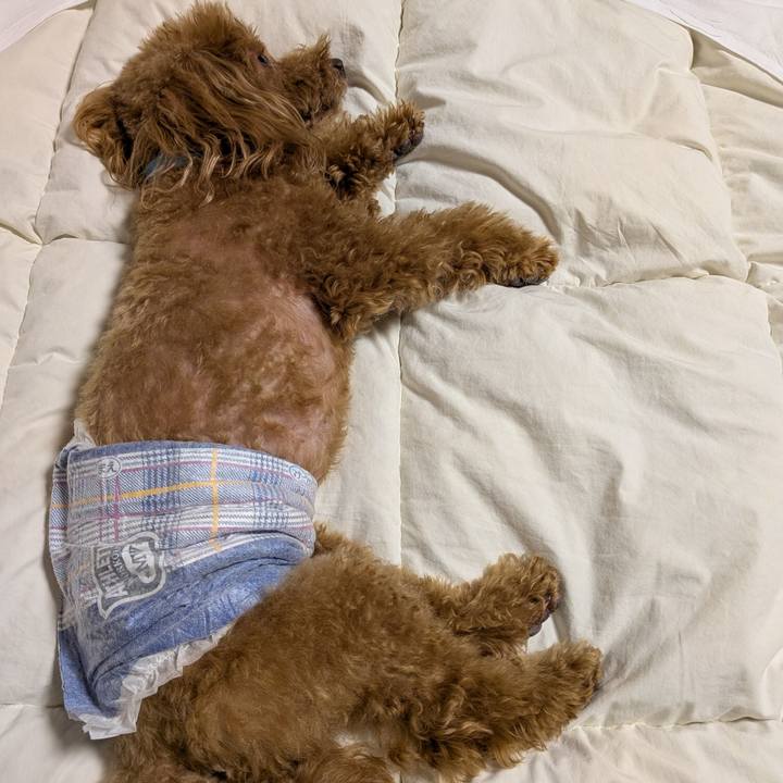 7e03b9f1 3aad 46ae 8c5f 1096a49d9a2d 1770984329756