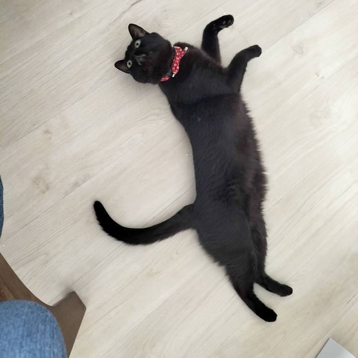 7e03c041 d0ff 45ae ac62 b1fd3b384f6d 1683326560214