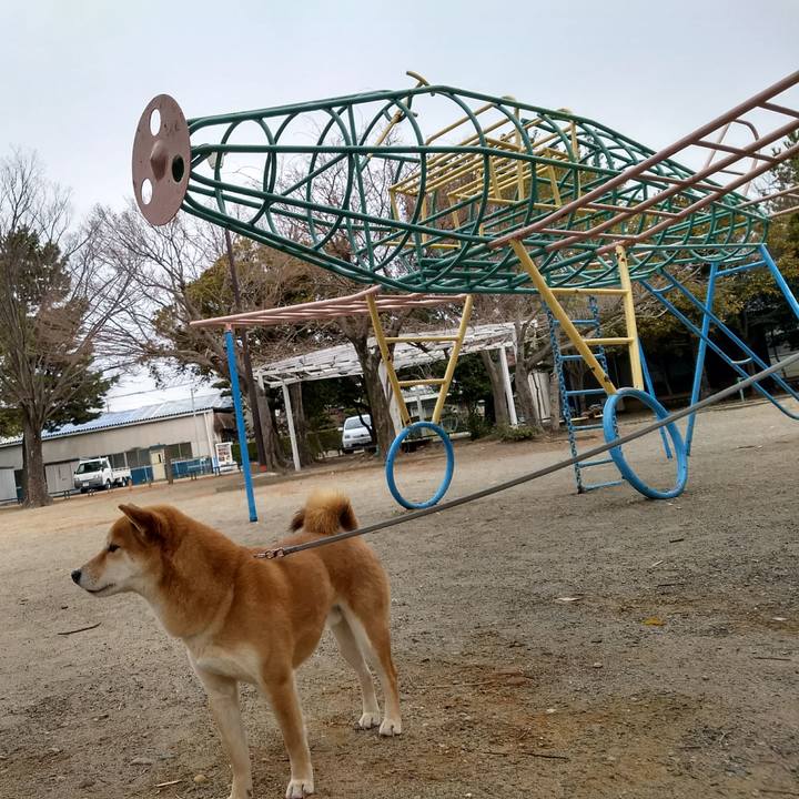 7e03cf50 74cd 4230 82df e2a19f9caa91 1518850773552