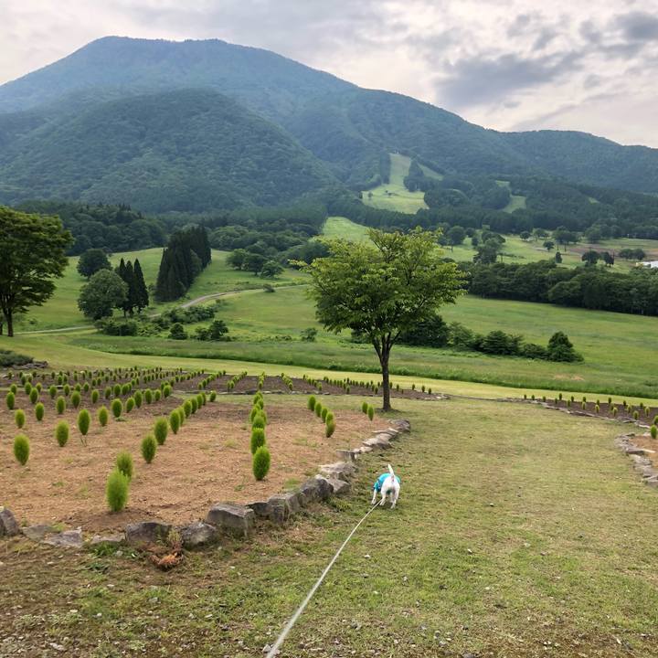 7e03dac9 5f57 4fbb b5e3 5761605f37be 1560505488928