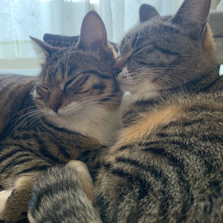 7e0435c2 6623 45f6 979b 49a4389f9013 1571229764533