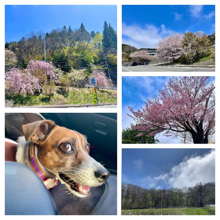 7e046f13 7c58 49f6 ab9c 050503e1a051 1745486687851