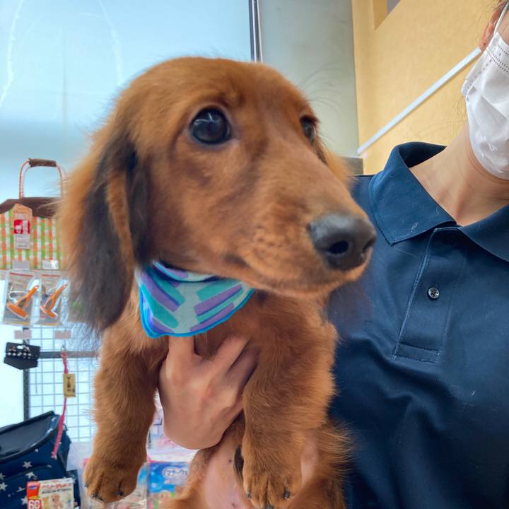 7e047df3 dee7 4e81 8e64 a2364e2b36c1 1705035096459