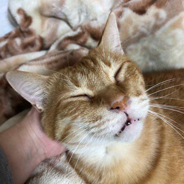 7e04839f 1a8f 477b aa32 24b79e981923 1603103527130