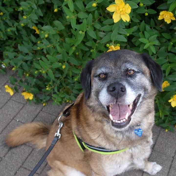 7e04a2fc 2011 452b ae15 835403123807 1582125379254