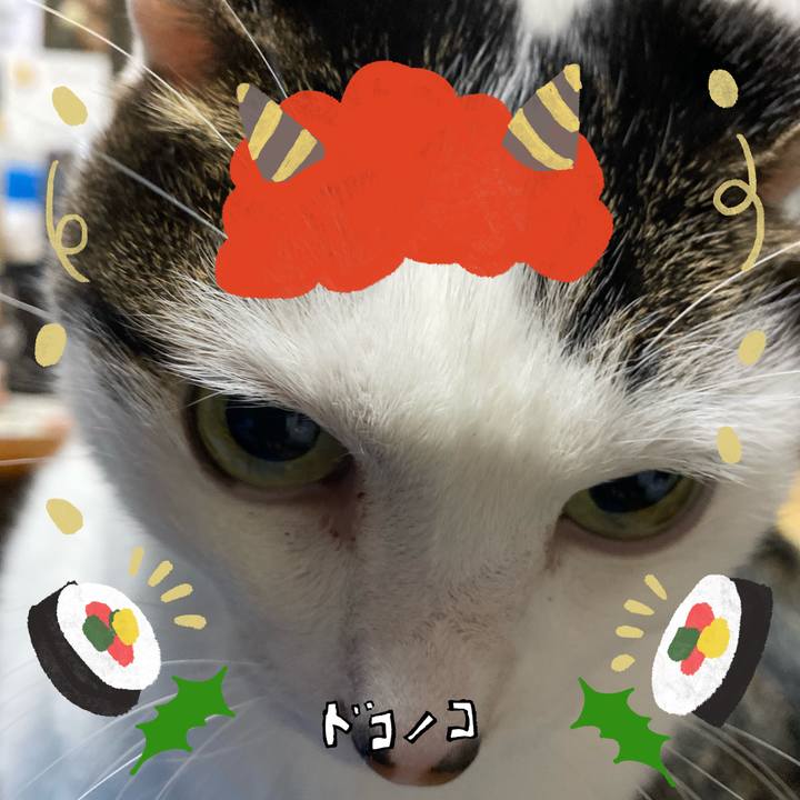 7e04e54d c0b7 4870 967e c35bf76c9c7f 1706877659706