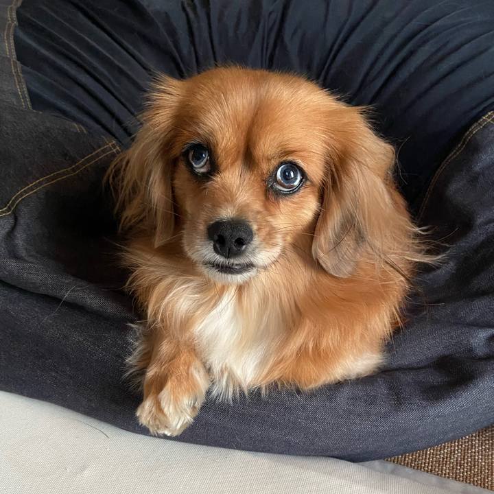 7e04f497 7193 4118 a2bd 2026fd8f6fdf 1604107970633