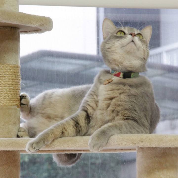 7e0508d0 7bc2 46a7 8082 956b3ac5ead6 1578281448941