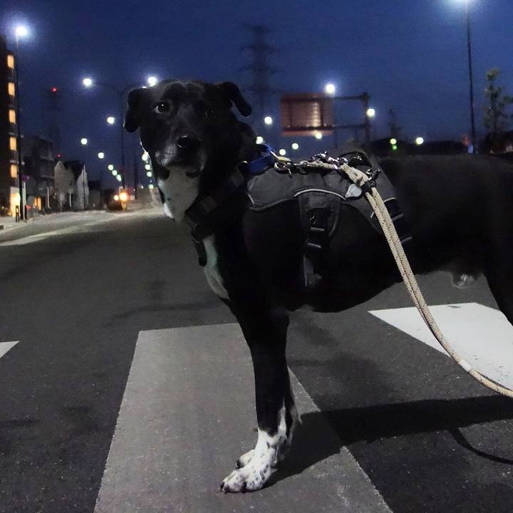 7e050c17 239e 41ae 8cec f73482add660 1648809275755