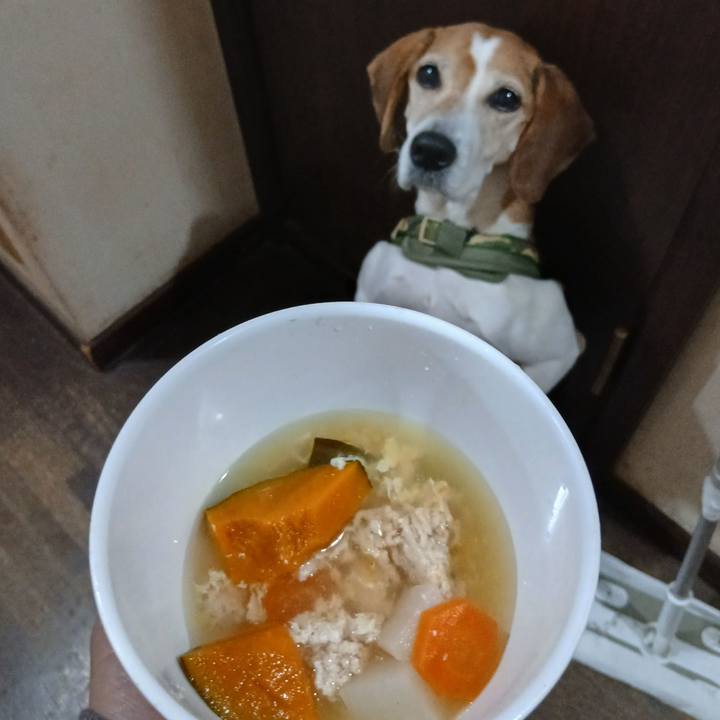 7e058336 89d7 4e4a 8243 ef888228bc82 1766573793595