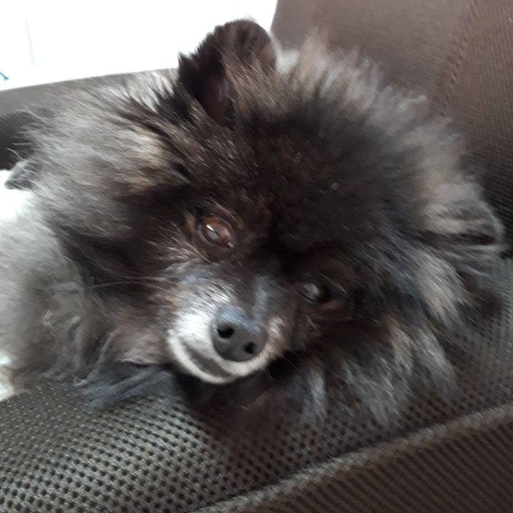 7e05a46a 16f5 42bd a2fe 27da30f6d9a1 1547183834647