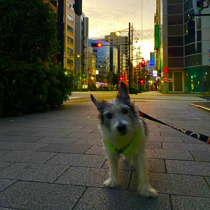 7e05a67b d13c 49a9 bcf9 331fc8d7de82 1609424692668