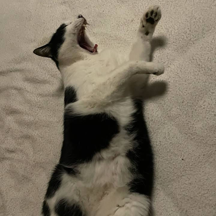 7e05a9a2 4dbd 483a ad56 06881b868981 1643279866439